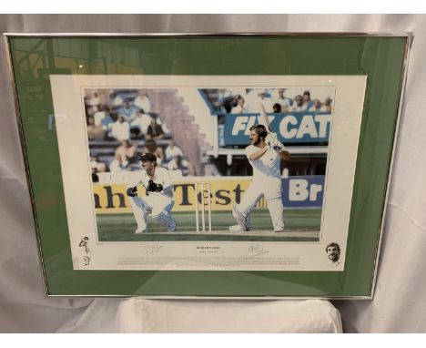 A FRAMED LIMITED EDITION PRINT OF THE BOTHAM'S ASHES ENGLAND VS AUSTRALIA 1981 