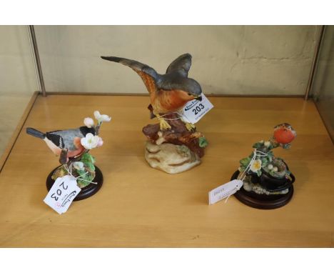 Border Fine Arts birds A7149 study of a bullfinch, together with Leonardo collection study of a robin on a branch, together w