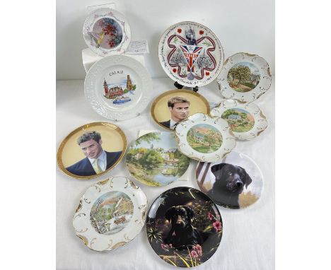 A collection of 12 collectors plates to include Royal British Legion Churchill plate, Black Labrador plates by Wedgwood and P