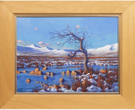 oil on canvas, signed, titled verso framed image size 48cm x 61cm, overall size 65cm x 80cm Note: Campbell was born in Prestw