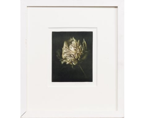 artist's proof mezzotint on paper, signed, numbered A/P and dated 2011 mounted, framed and under glass image size 14.5cm x 12