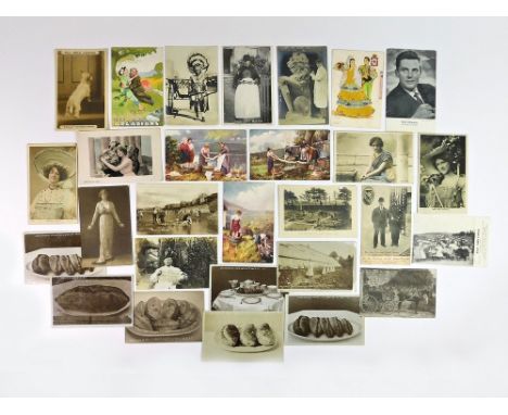 MISCELLANEOUS POSTCARDS. Twenty-eight postcards including unusual & curiosity cards. Real photograph cards of the Plympton Mi
