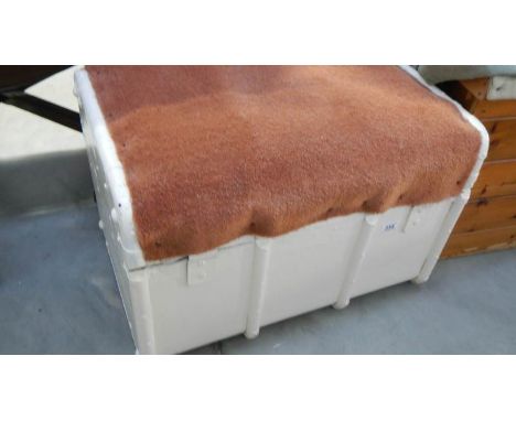 A metal trunk.