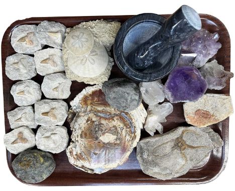 Fossils/Minerals: A Collection of Various Shark Teeth, Fossils and Minerals, to include - ten fossilized shark teeth preserve