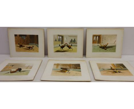 Cock Fighting Scenes - 'Set Too', 'Fight', 'Throat', 'Knock Down', 'Recovery' and 'Death', six 19th century aquatint's by N. 