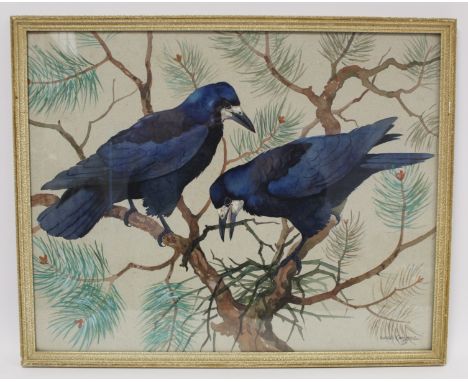 Ralston Gudgeon (Scottish 1910-1984). *ARR* Pair of rooks building a nest amongst pine branches. Watercolour on buff paper. 4