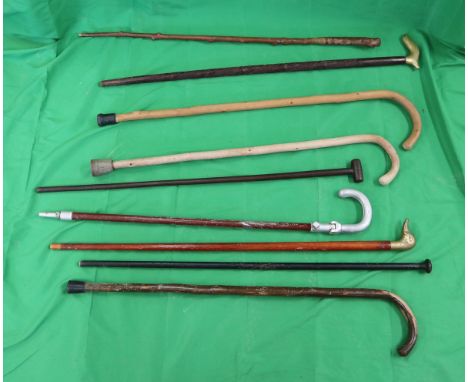 Collection of walking sticks to include hunting stick