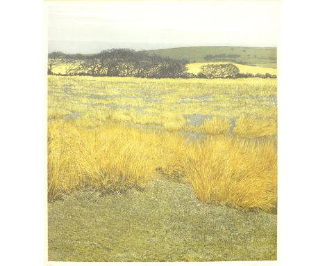 Phil Greenwood (b. 1943),
'Burnt Moor',
signed in pencil and dated '79,
limited edition etching 1/250,
54 x 44 cm CONDITION R