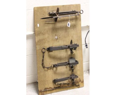 A Vintage Mole Trap and Three similar Gin Traps mounted on a board