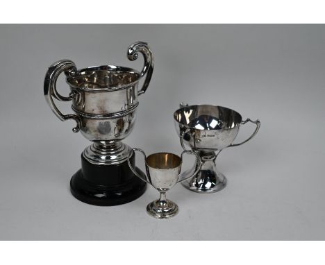 An Edwardian silver two-handled trophy cup, Sheffield 1913 (on plinth), an Art Nouveau style three-handled trophy cup on flar