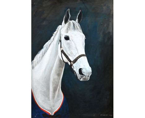 D Coombs - Study of a grey, horse's head, oil on canvas, signed and dated 1984, 89 x 62 cmSome paint peelingWired with electr