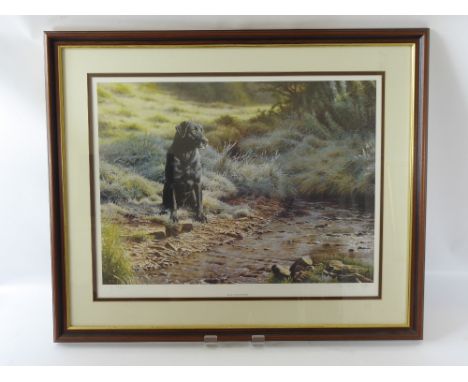 Steven Townsend Limited Edition Print, entitled 'Breeze', signed in pencil lower right nr 225/660, Northern Editions publishi