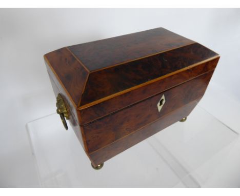 A Regency Burr Walnut Tea Caddy, the caddy having lion mask handles on ball feet, approx 19 x 12 x 13 cms.