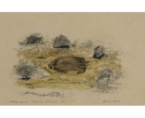 *David Nash RA (b.1945)'Sheep Space, Blaenau Ffestiniog'signed l.r., inscribed with title and dated 1981 l.l., mixed media17.