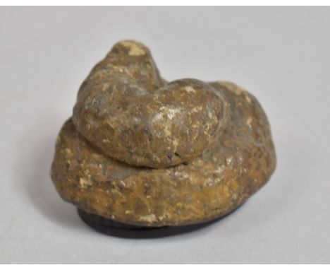 A Novelty Victorian Papier Mache Snuff Box Model in the Form of Dog Poo, c.1880 