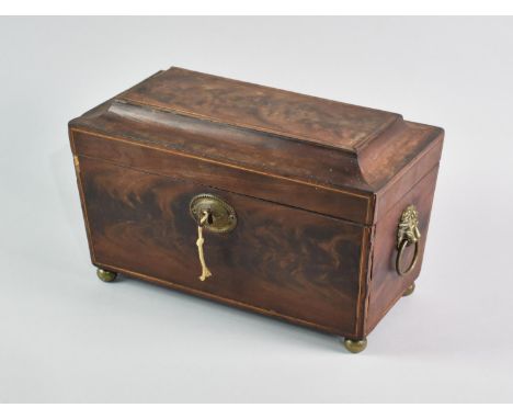 A Mid 19th Century Flame Mahogany Sarcophagus Shaped Tea Caddy with Brass Lion Mask and Ring Handles, Interior Stripped and V