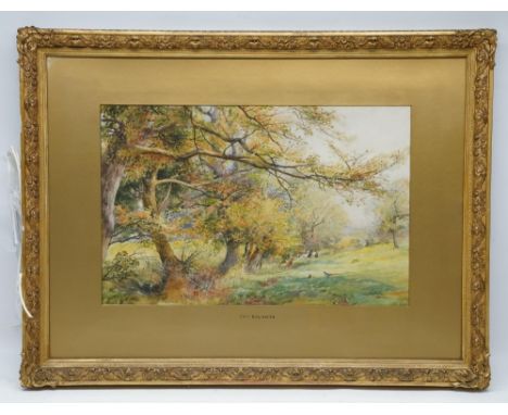 Charles Henry Clifford Baldwyn (British 1859-1943); Pheasants in a wooded landscape, watercolour, signed, named on mount, 30c