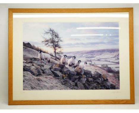 Leigh Wilkinson (British Contemporary); 'Frosty Morning Over Rosedale' ltd.ed colour photograph, numbered 1/50 and signed in 