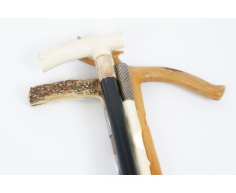 Four 19th and 20th Century walking sticks, ivory and horn handles with silver collars, and a bamboo example, the handle carve