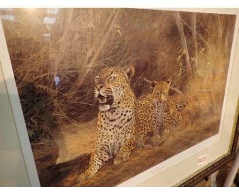 Signed and framed limited edition print of a leopard and cub by Kim Donaldson