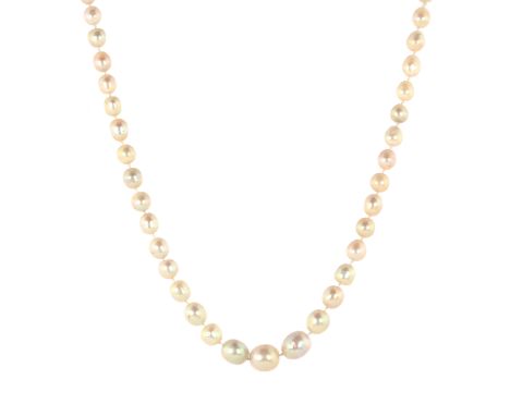 AN ANTIQUE NATURAL SALTWATER PEARL AND RUBY NECKLACE in white gold comprising a single row of one hundred and nine graduated 