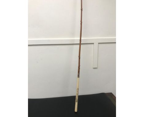 A Victorian Carriage horse whip, Designed with an ivory handle, carved with a horses head and finished with a  9ct gold colla