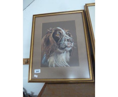 PORTRAIT OF SPRINGER SPANIEL