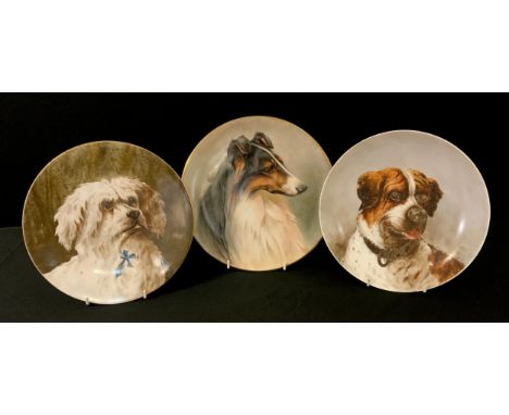 A late 19th century hand painted cabinet plate, Maltese Terriers Head, 22.7cm diameter;  others T C Brown Westhead &amp; Moor