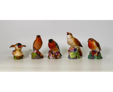 Royal Worcester Matt Figures of Nightingale, Goldfinch, Bullfinch, Robin &amp; Chaffinch(5) 