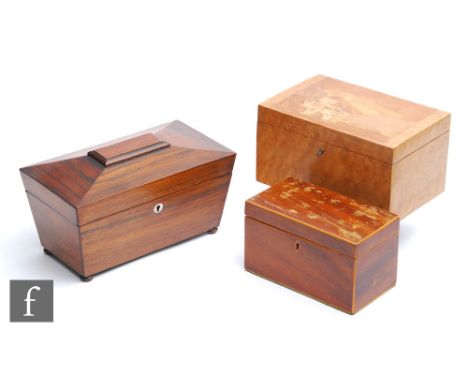 A 19th Century mahogany tea caddy of sarcophagus form on raised bun feet, internally fitted with two sections and a later etc