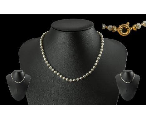 Ladies Pleasing Quality Single Strand Pearl Necklace. Set with 9ct Gold Spacers and Clasp, Marked 9.375. Length 15 Inches - 3
