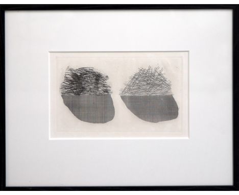 DAVID HOCKNEY, 'Straw on the Left, Gold on the Right', aquatint, 1969, edition 400, 16cm x 24cm.