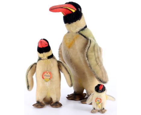Steiff 3 Peggy Pinguine, 1960er, vintage stuffed animals,alle mit Steiff-Knopf, Herstellung Mitte 1960er Jahre, 1x kleiner Pi