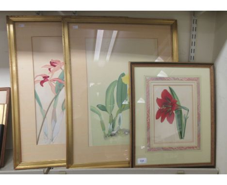 Three framed Botanical studies -&nbsp; two pen &amp; ink/watercolour&nbsp; 12" x 18", the other a lithographic print&nbsp; 7"