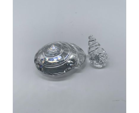 This pair of ocean motif features an exquisite rounded top shell, part of the renewal gift series from SCS member group. And 