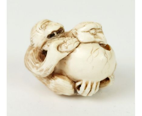 NETSUKE, Japan, "Bein", geschnitzt, schwarz akzentuiert, Zwei Affen einen Vogel aus Ei zerrend, Meistersignatur, 3,3 x 3,9 cm