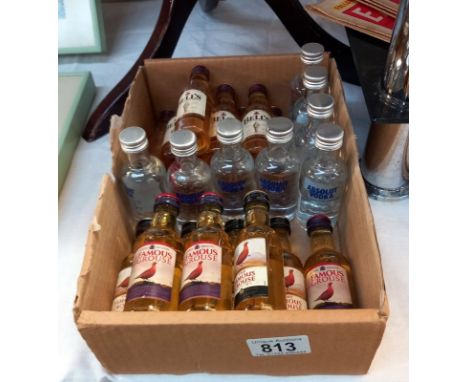 16 miniature bottles of whiskey and 8 of vodka