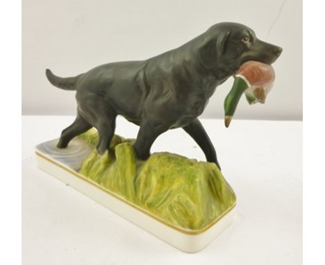 A ROYAL WORCESTER BONE CHINA MODEL BLACK LABRADOR pheasant in mouth, 11cm high 