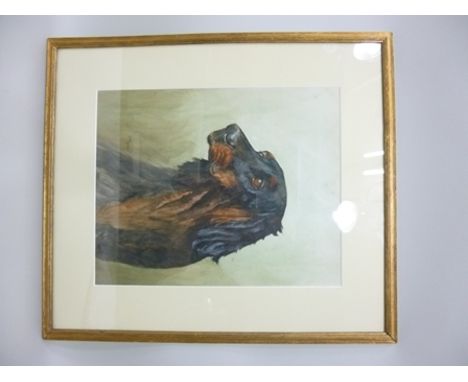 DAISY MORRIS Portrait Study of a dog, possibly a Gordon Setter, Watercolour, signed, 40 x 32.5cm, in gilt glazed frame 