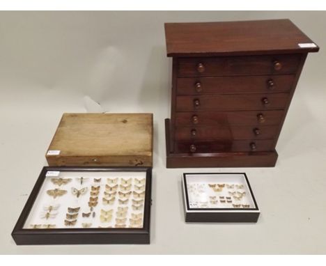 BRITISH MOTH COLLECTION (WL Licence CL07/2015/0003) Comprising a six drawer Insect Cabinet, constructed in polished stained d