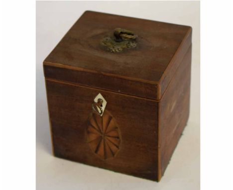 Small Georgian mahogany tea caddy with inlaid shell detail and brass ringlet top handle and mother of pearl escutcheon, 12cms