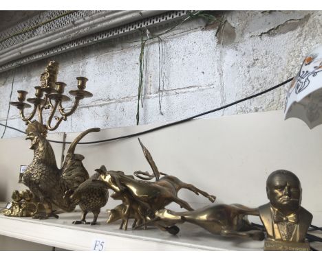 Various brass animals, candlestick etc. 