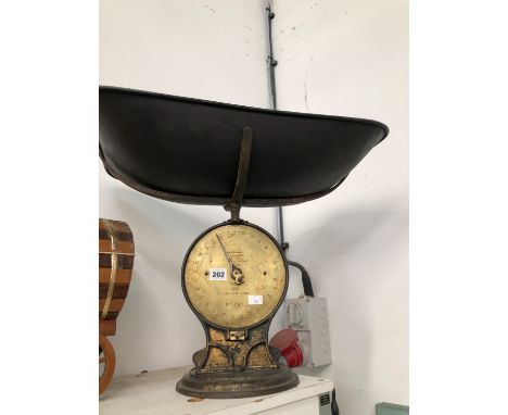 A SET OF SALTERS FAMILY SCALES