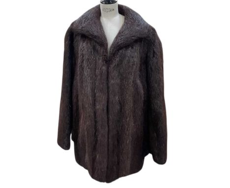 An early 20th century musquash fur coat, size 48.