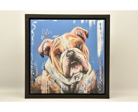 SAMANTHA ELLIS (BRITISH 1992) 'THE HARD STARE', a signed limited edition print on canvas depicting a portrait of a Bulldog, 2