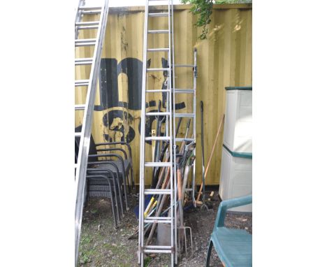 A COLLECTION OF GARDEN TOOLS AND A DOUBLE EXTENSION LADDER 350cm to each section, forks, spades, clippers, lawn edgers etc