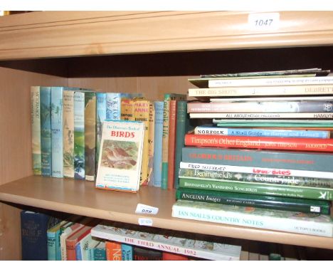 SHELF OF BOOKS ( HOUSE CLEARANCE)