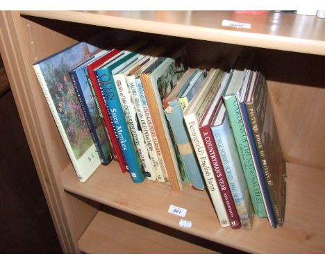 SHELF OF BOOKS ( HOUSE CLEARANCE)