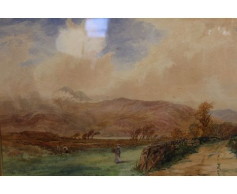 Charles T Cox (fl:1898-1912) "Borders of the Marsh, N Wales" watercolour painting, signed, 36cm x 54cm, gilt framed, mounted 