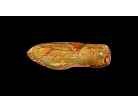 Oligocene Period, 45 million years BP. A clear piece of Baltic amber containing an insect and other inclusions.  2.02 grams, 
